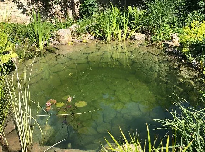 U Jezirka Velké Přílepy